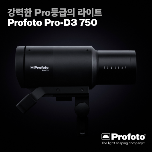 [신제품] 프로포토 D3 1250 듀오킷, Profoto Pro-D3 1250 Duo Kit